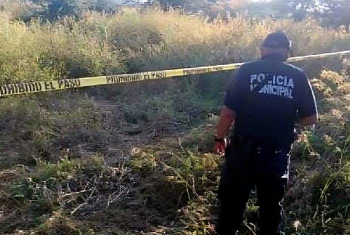 Octogenario es hallado muerto en unas parcelas de La Piedad; lo buscaban desde el sábado