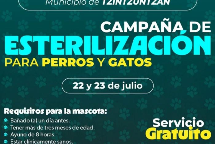 Ofrece SSM esterilización gratuita para mascotas en 3 municipios