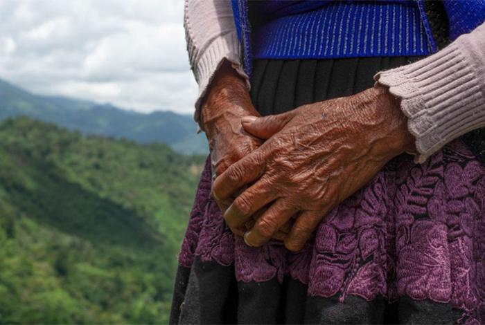 ONG denuncian criminalización y desplazamiento forzado de comunidades indígenas en Chiapas