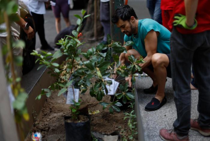 ONG impulsan reforestación urbana en Ciudad de México para mitigar el calentamiento global