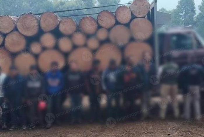 Operativo en Senguio deja 10 detenidos y tres vehículos con madera ilegal asegurados