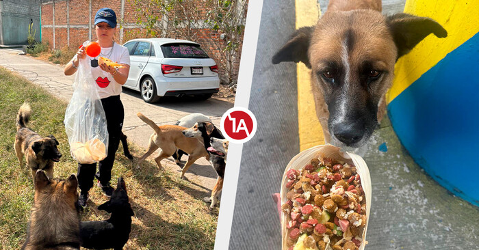 Pancitas Llenas: una noche de amor y esperanza para más de dos mil peludos