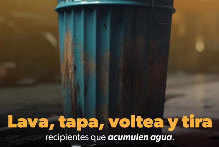 Participación comunitaria elemento primordial en el control del dengue: SSM