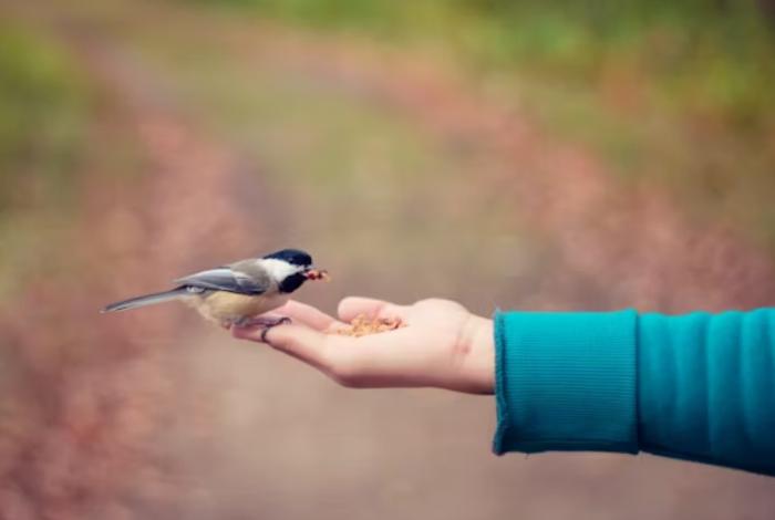 Pequeños gestos, grandes cambios: celebremos la bondad