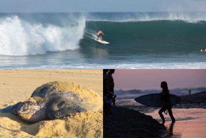 Playas de Michoacán, tesoro del Pacífico que te conecta con la naturaleza: Sectur
