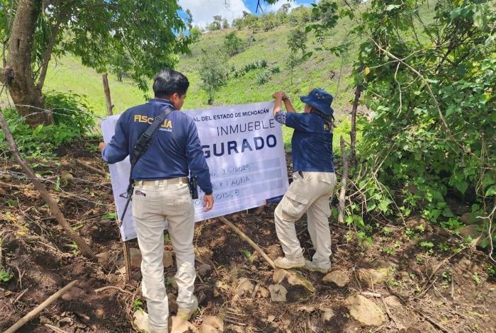 Por delitos contra el ambiente, FGE asegura dos predios con plantaciones de aguacate en Zacapu