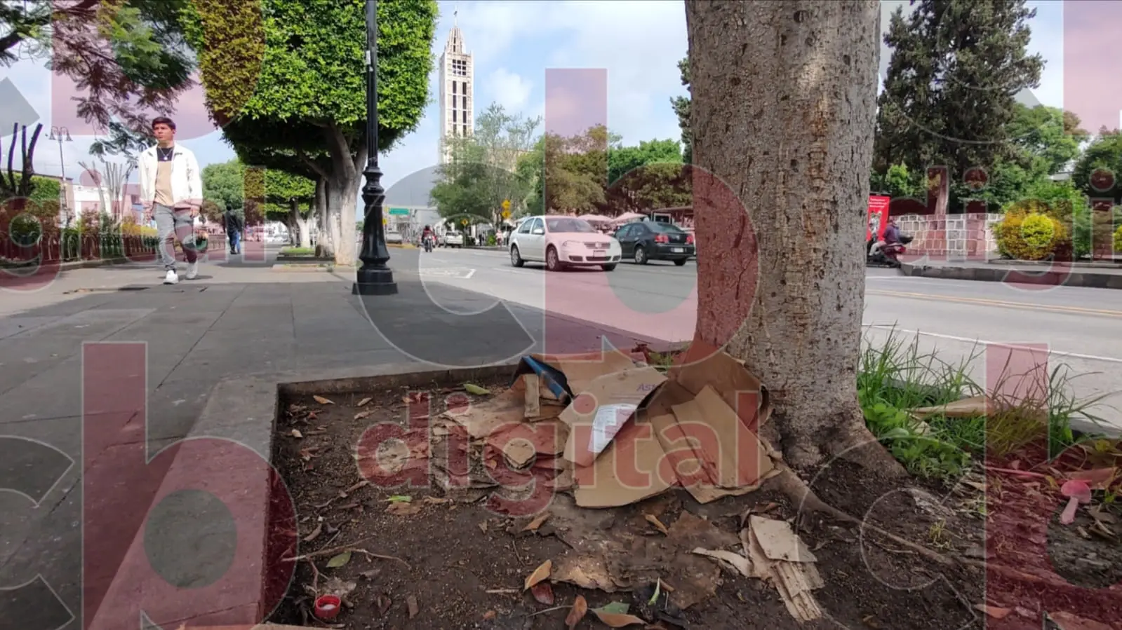 Por falta de cultura, jardineras en Plaza Niños Héroes, están repletas de basura