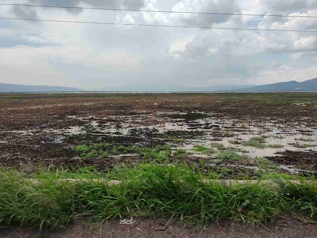 Por sequía del Lago de Cuitzeo comerciantes resultan afectados