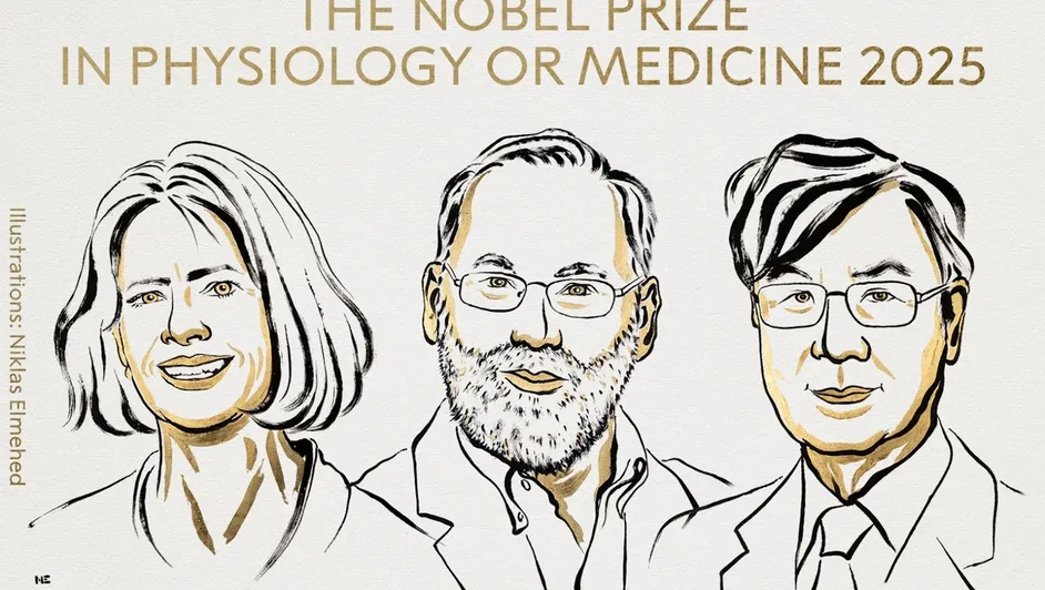 Premio Nobel de Medicina 2025: Mary E. Brunkow, Fred Ramsdell y Shimon Sakaguchi