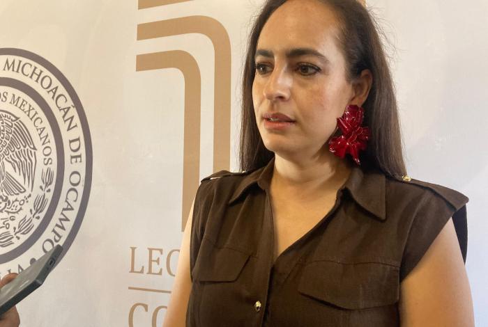 PVEM no ha definido su voto sobre apología del delito