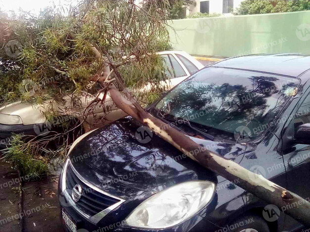 Rama le deja un ‘besito’ a un coche estacionado, en Morelia