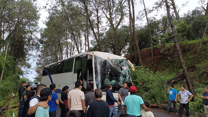 Árbol se desploma sobre autobús; hay dos lesionados graves