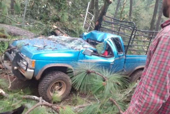 Árbol se desploma sobre una camioneta y mata a un hombre en Tingambato