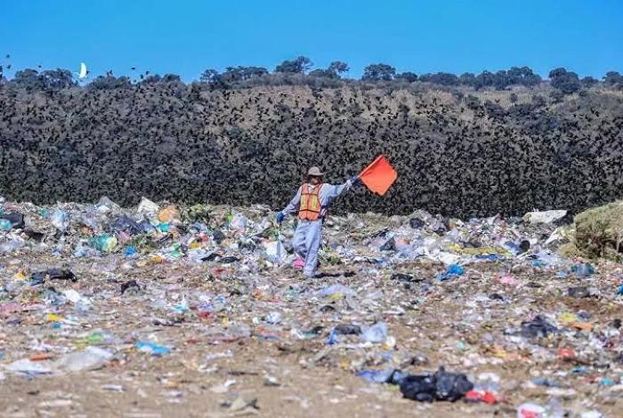 Recibe Morelia basura de tres municipios y se alista para 30 años más