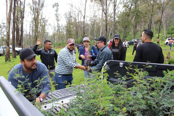 Reforesta Gobierno estatal Área Natural Protegida Piedra del Indio, en Morelia