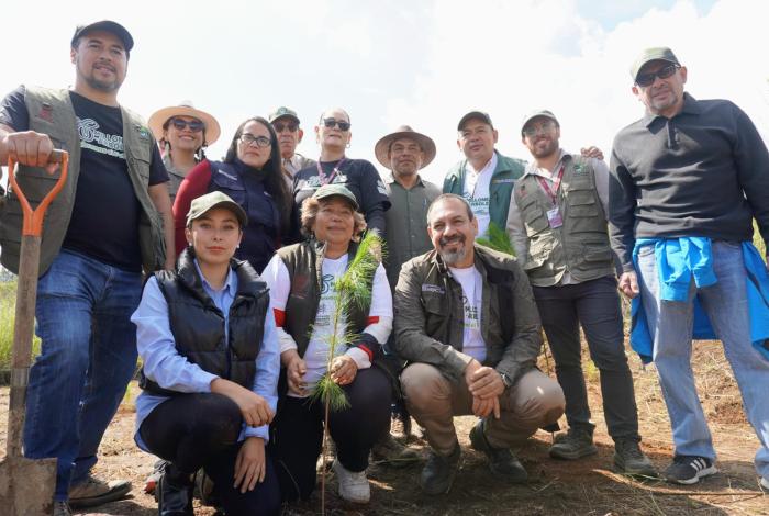 Reforestar es vital para recuperar ecosistemas y recursos hídricos: Secma