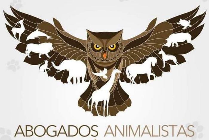 Reformar el Código Penal de Michoacán, claman animalistas