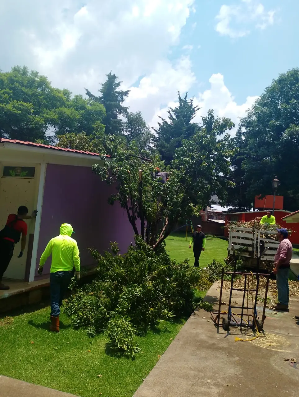 Refuerza Alma Mireya González cuidado de áreas verdes escolares y dan mantenimiento