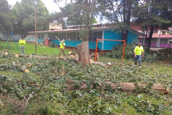 Refuerza Alma Mireya González cuidado de áreas verdes escolares y dan mantenimiento