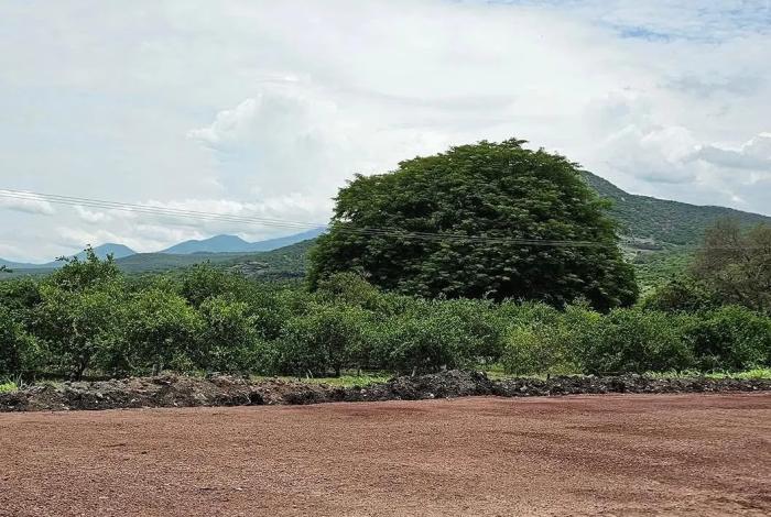 Reportan balaceras y explosiones en Apatzingán, Michoacán