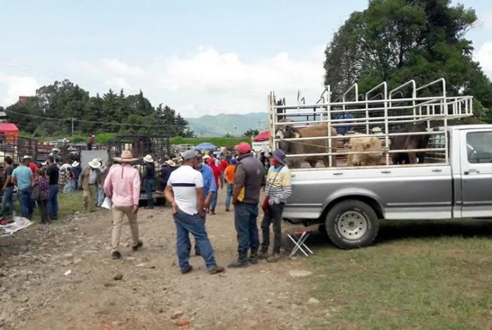 Reportan que comando armado supuestamente plagió a diez personas en Tianguis Ganadero de Zitácuaro