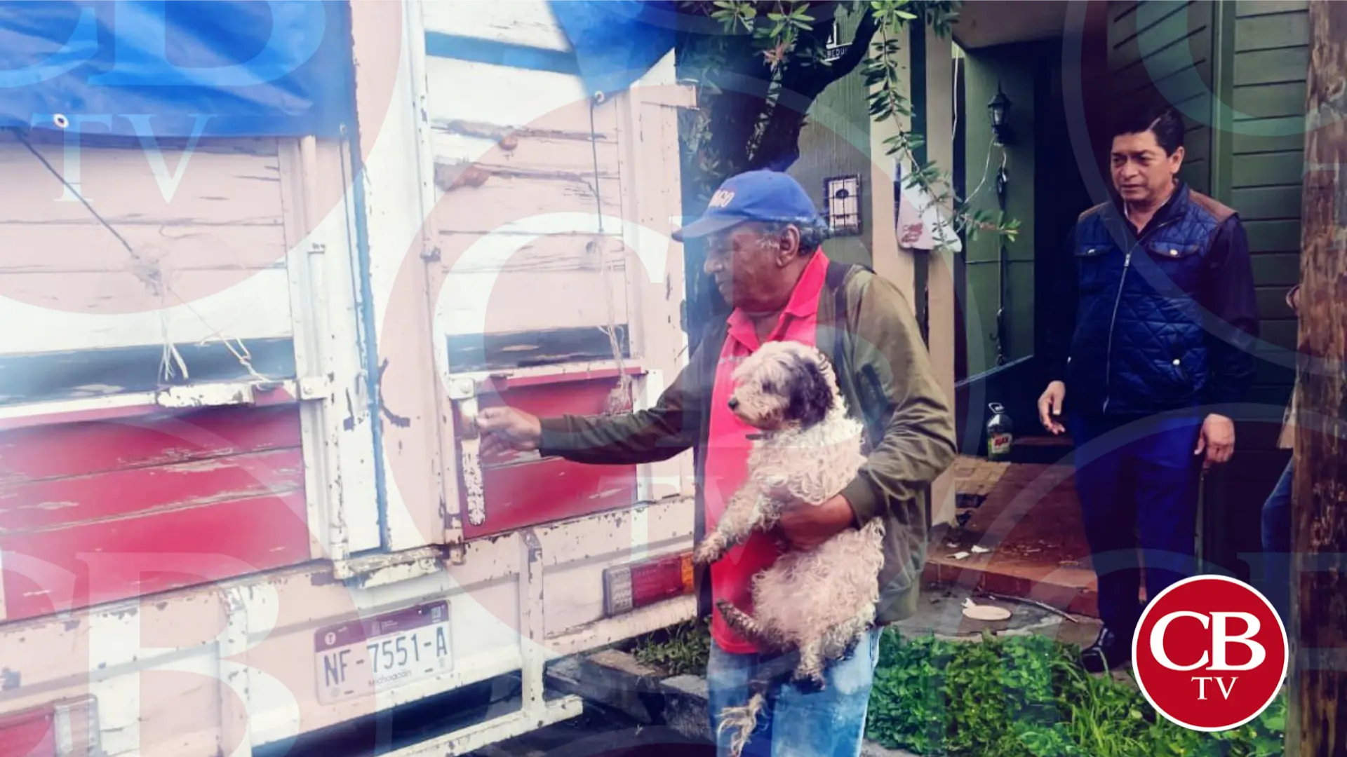 Rescata FGE 11 perritos maltratados en la Zamora