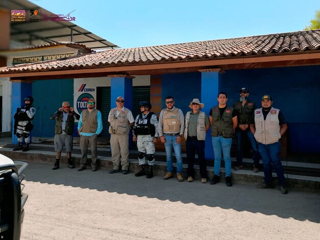 Resguarda Zoológico de Morelia ejemplares decomisados en Huetamo