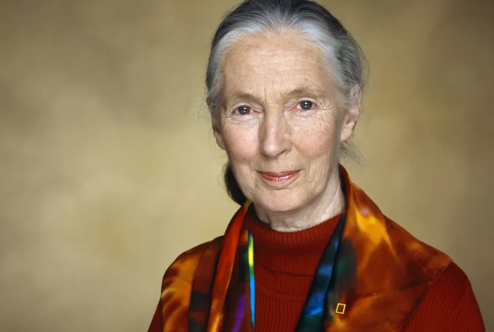 Revelan la causa del fallecimiento de Jane Goodall