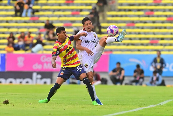 Rugen los Leones Negros al comerse a los Canarios 2-0