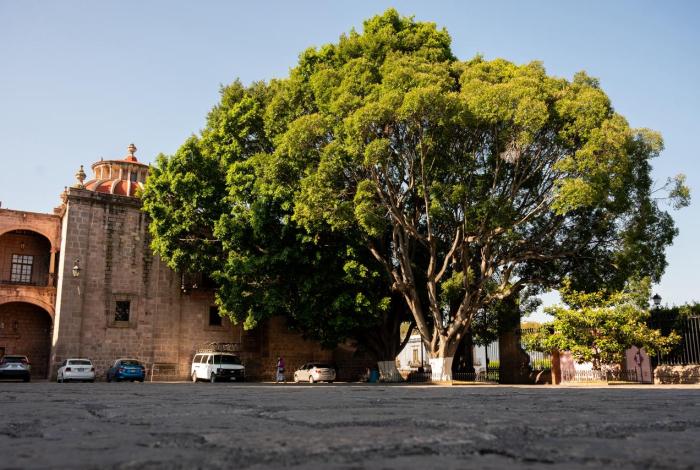 Sábado caluroso, pero también nublado en Michoacán