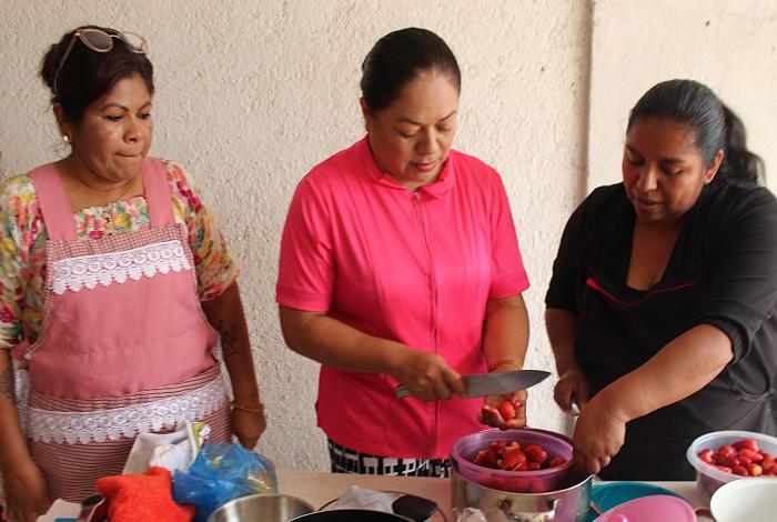 Saderm fomenta capacitación y autoempleo en tenencias de Morelia