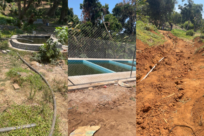 Se adueñan de un manantial para regar sus aguacates ilegales en Ziracuaretiro; habitantes denuncian