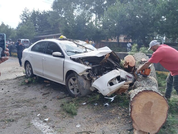 Se desploma árbol sobre vehículo en movimiento