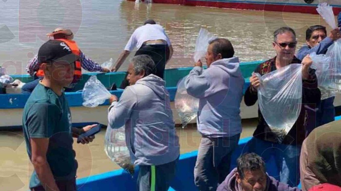 Se iniciará la repoblación del lago de Pátzcuaro con la liberación de 50 mil peces blanco