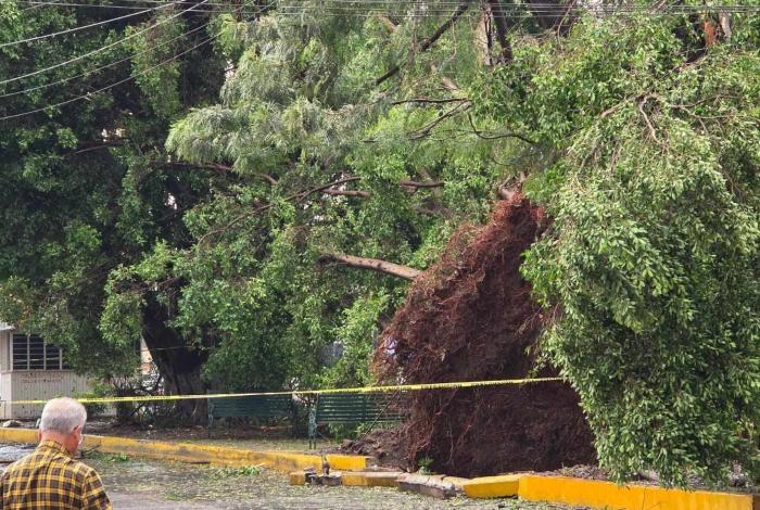 Se llamaba Francisco Javier, motociclista que perdió la vid4 aplastad0 por un árbol