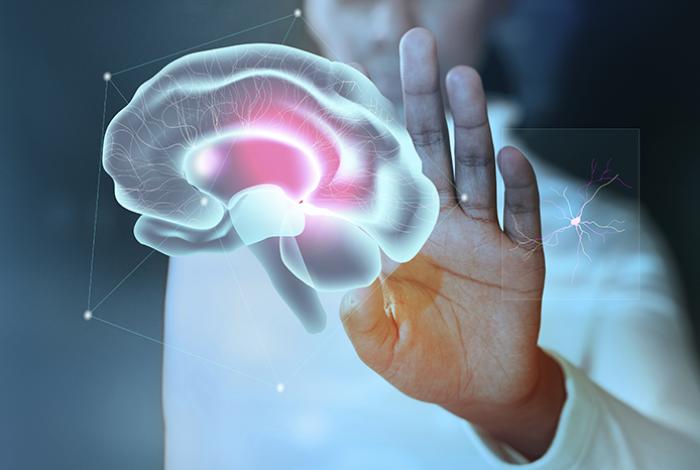 ¿Se puede reconfigurar el cerebro? Neurociencias proponen cambiar hábitos para el bienestar mental