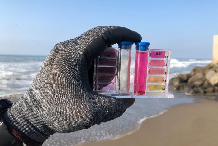 Seis playas de Michoacán, entre las más contaminas del país: Cofepris