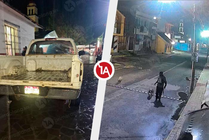 Señalan al Ayto de Paracho por matanza masiva canina