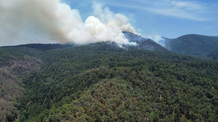 🔥🚒#Senguio❗Incendio forestal en el Ejido Senguio amenaza hábitat de la Monarca