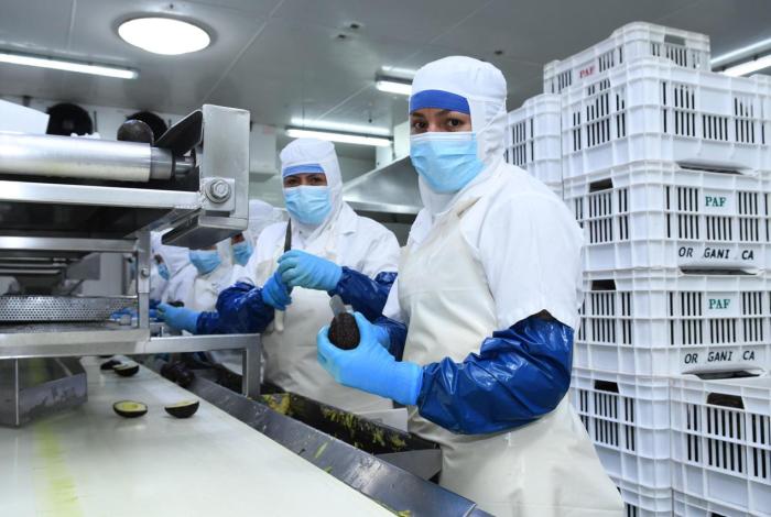 Sí a reducción de jornada laboral, pero con medidas: Canacintra Morelia
