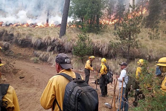 Sin incendios activos en Michoacán; brigadistas logran control de siniestros: Cofom