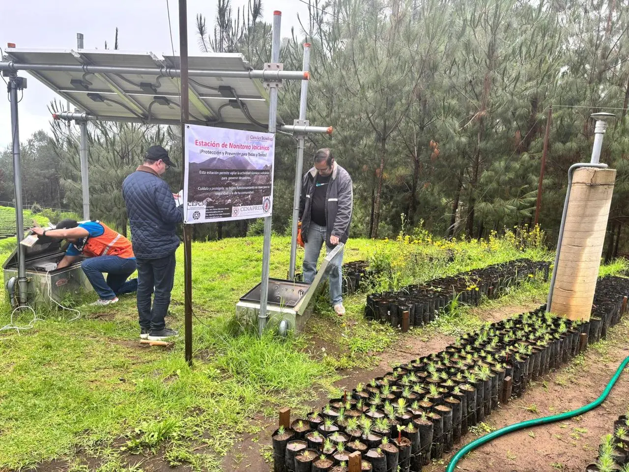 Sin indicios de actividad volcánica en Tancítaro: PC estatal