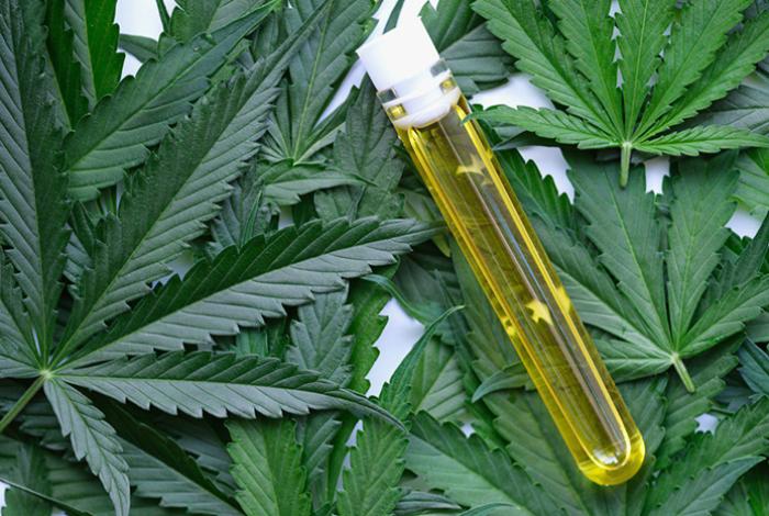 Sin pruebas de que cannabis medicinal sea eficaz contra la depresión o la ansiedad, revela estudio