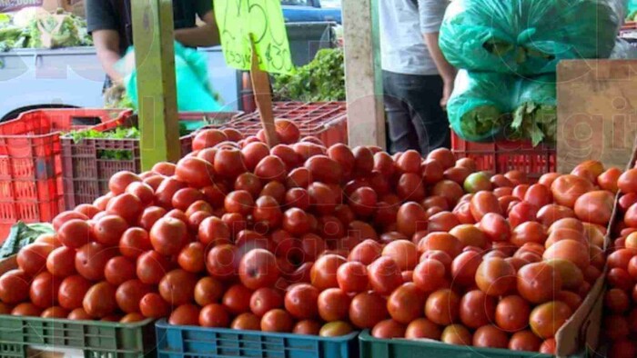 Sorpresa, baja hasta $20 pesitos el jitomate en Mercado de Abastos