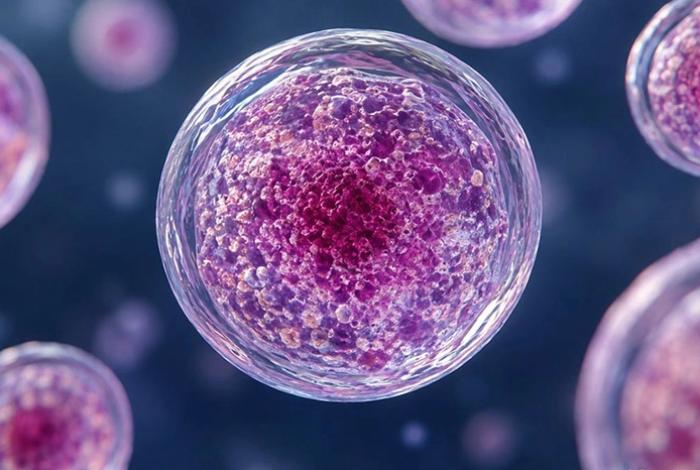 Ssa descarta un brote de ciclosporiasis y mantiene vigilancia sanitaria