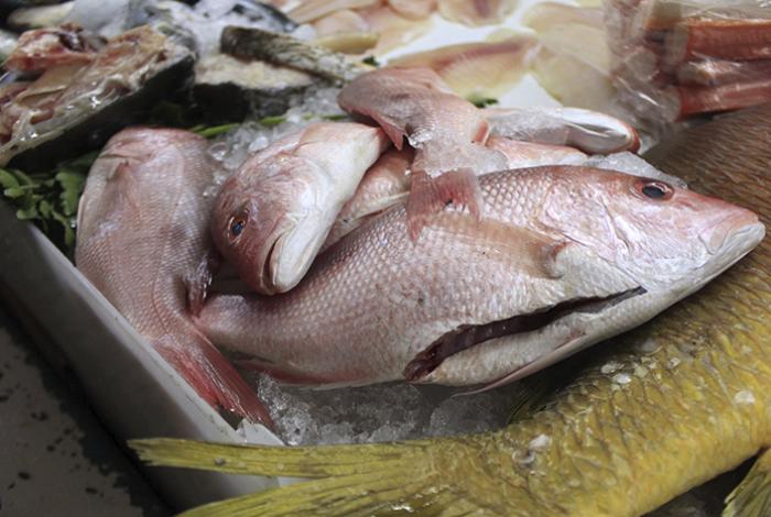 SSM emite recomendaciones para el manejo y descongelación segura de mariscos