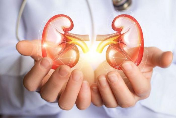 SSM promueve la activación física en el Día Mundial del Riñón