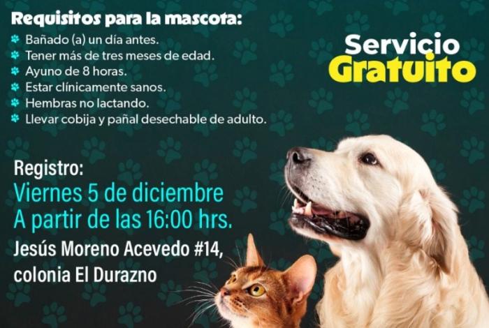 SSM realizará jornada gratuita de esterilización para perros y gatos en Morelia