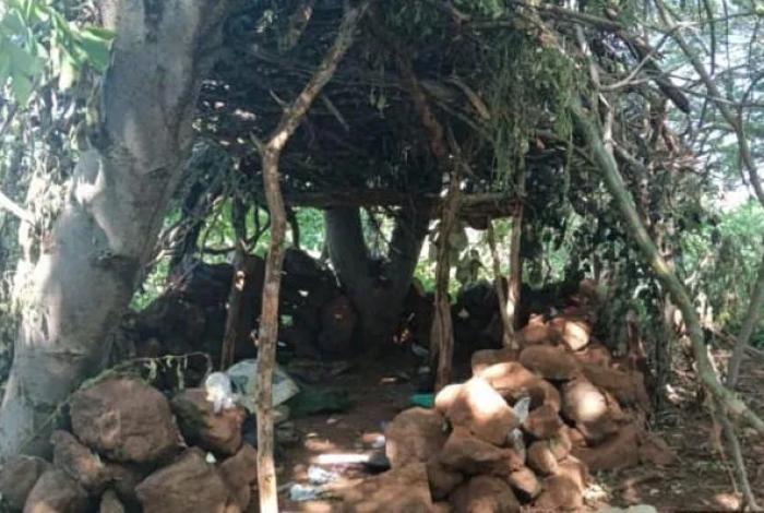 SSP y Defensa destruyen campamento de la delincuencia organizada