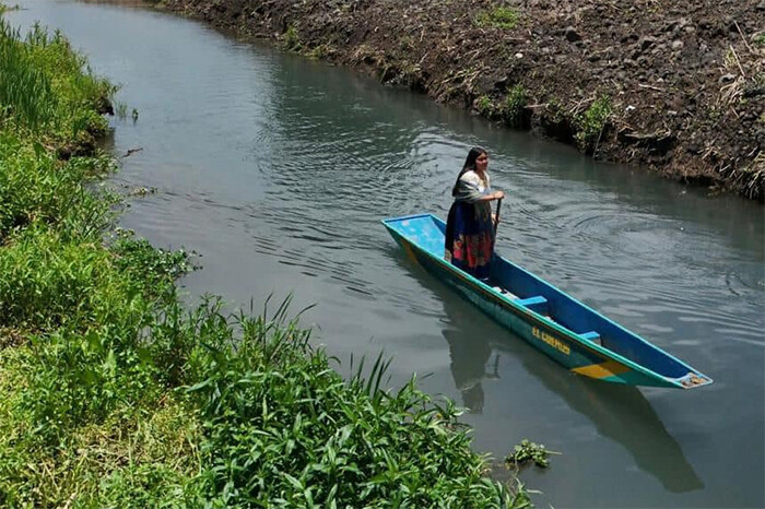 Suman 48 manantiales recuperados en el lago de Pátzcuaro; ¿dónde se ubican los 67 detectados?